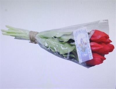 <h4>3108 Kunst Tulp Rood</h4>