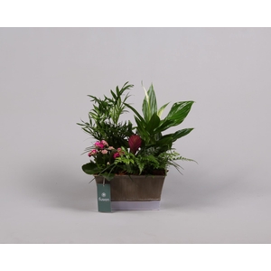 Zinken pot vierkant met arrangement