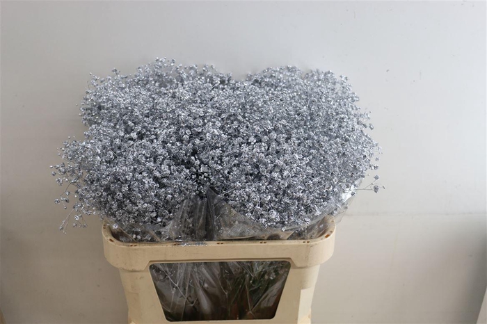 <h4>Gyps Pa Xlence Silver Metal + Glitter</h4>