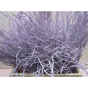 Heidelbeer Licht Milka