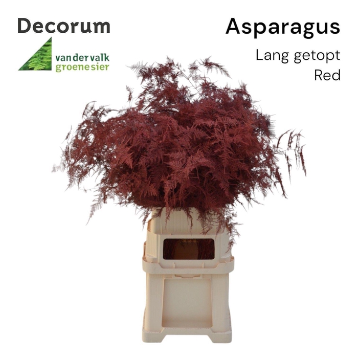 <h4>Asp lang getopt Red</h4>