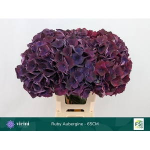 HYDR M MAG RUBYRED P