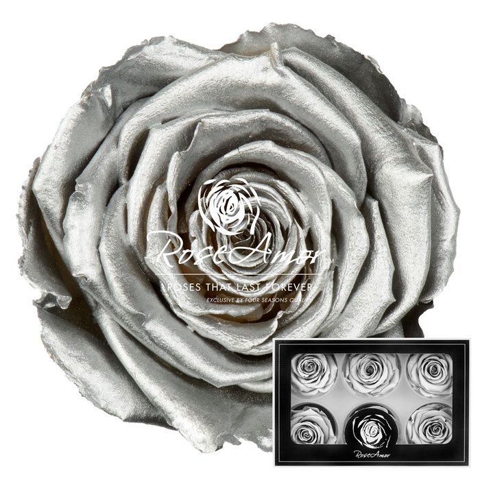 Lplus Metallic Silver Whi04