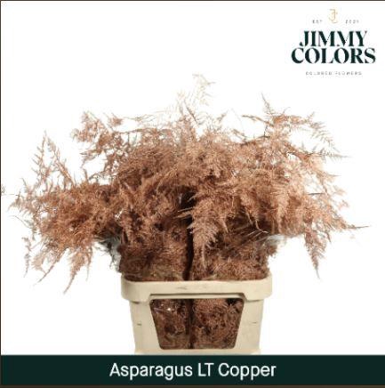 <h4>Aspa lang getopt + glitter Koper + glitter</h4>