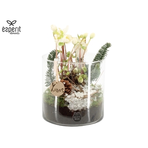 61700: X-mas arrangement