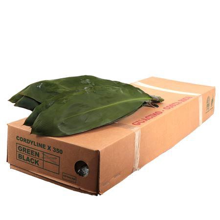 <h4>CORDELINE GREEN TIE</h4>