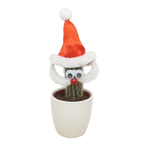 Kerstman cactus 5,5 cm in Wit potje