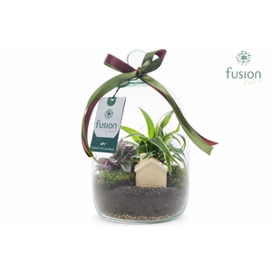 Green BottleNovella Small met arrangement