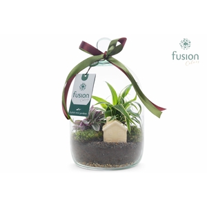 Green BottleNovella Small met arrangement