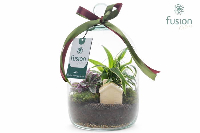 <h4>Green BottleNovella Small met arrangement</h4>