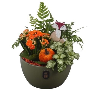 PTHI3229 Arrangement Autumn Indoor in keramiek schaal