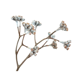 Eucalyptus Berry Aubergine