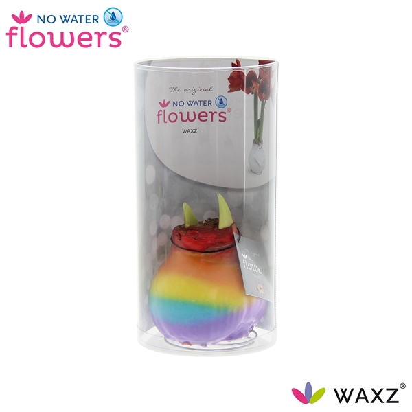 No Water Flowers Waxz® Rainbow in Koker