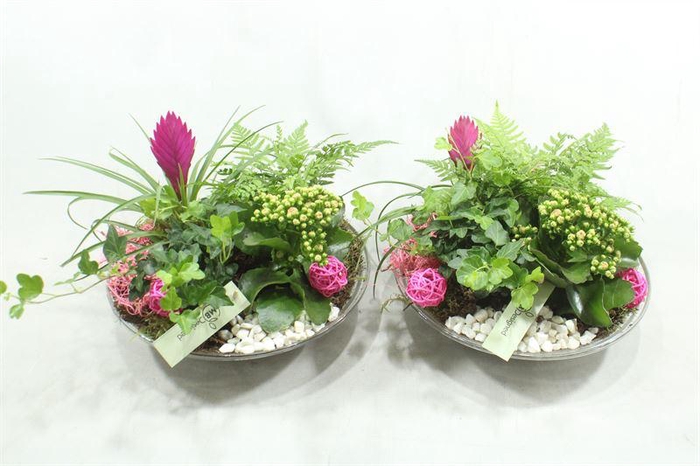 <h4>JA570 XXL GLAS TILL</h4>