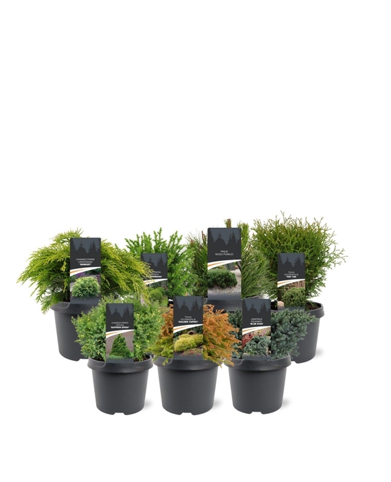 <h4>mixlaag C3 standaard (mix kan afwijken van foto)</h4>