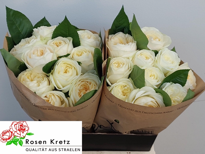 <h4>R GR WEDDING CHAPEL!</h4>