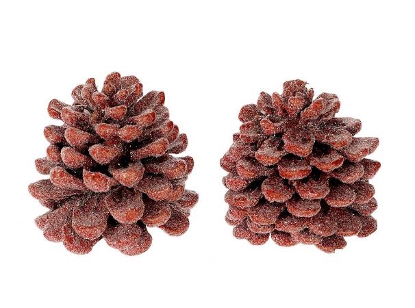 Pinecone Pinea Wax Sugared 2 Pcs Slv L19W12H14