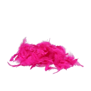 Feathers Chicken Fuchsia 20 Gram