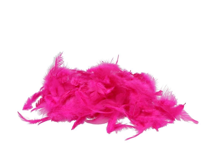 <h4>Feathers Chicken Fuchsia 20 Gram</h4>