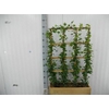 Hed He Green Ripple Outdoor Rekken