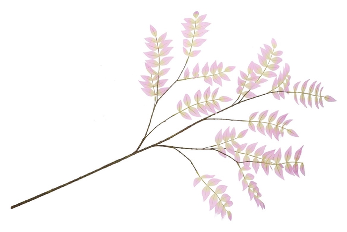 <h4>Silk Salix Leaf Purple 135cm</h4>