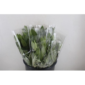 Boeket Aroma Mix P/b