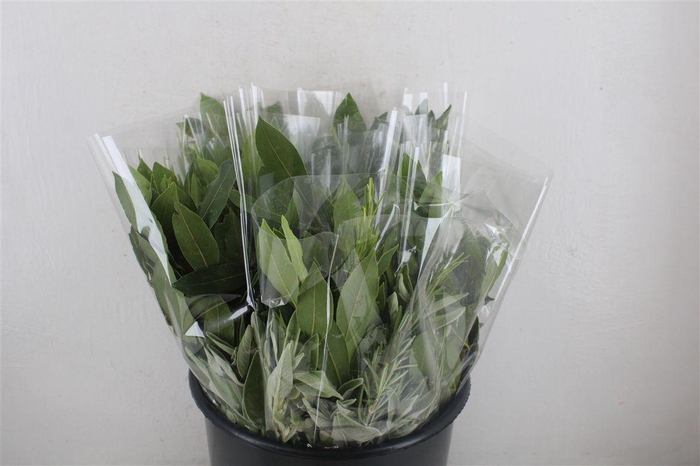 <h4>Boeket Aroma Mix P/b</h4>