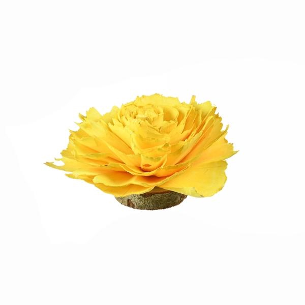 <h4>Sola Cabbage Rose 12 Cm Yellow Riva Pastel Yellow</h4>