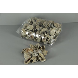 Land Lotus Petal Frosted 500g