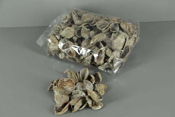 <h4>Land Lotus Petal Frosted 500g</h4>