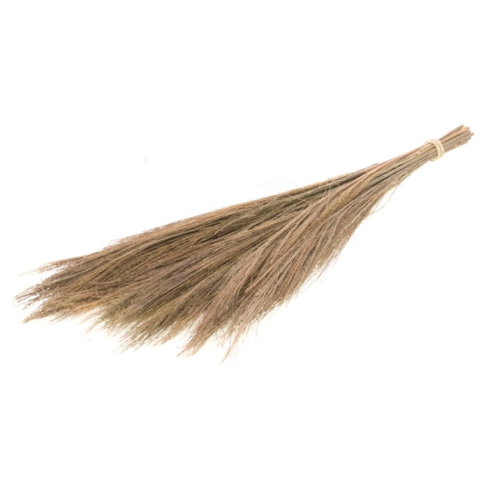 Broom grass 100gr 65cm natural