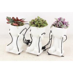 arr3 SN - Ker. pop swing mix