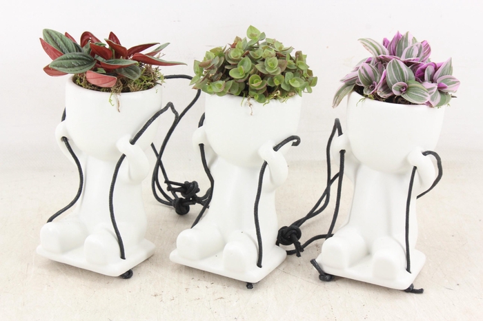 <h4>arr3 SN - Ker. pop swing mix</h4>