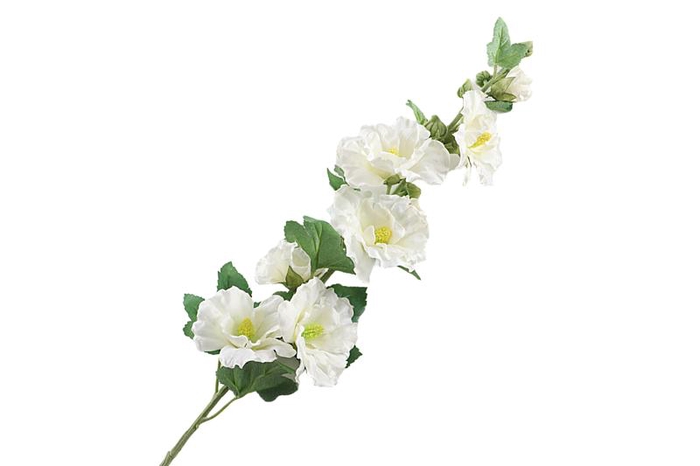 Alcea Rosea White