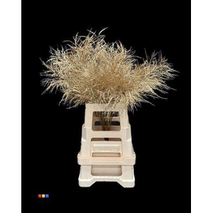 Treefern Antique Gold