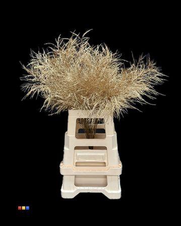 Treefern Antique Gold