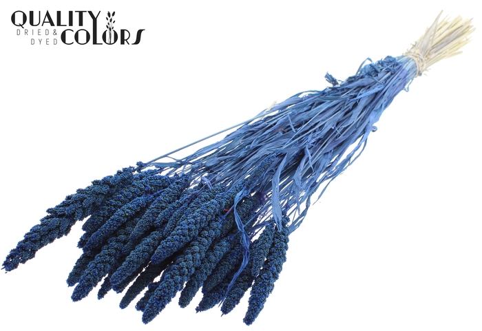 Gierst per bunch Intense Blue