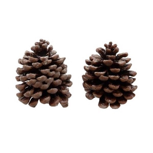 Deco Pinecone Pinea Scented Orange Cinnamon 2pcs