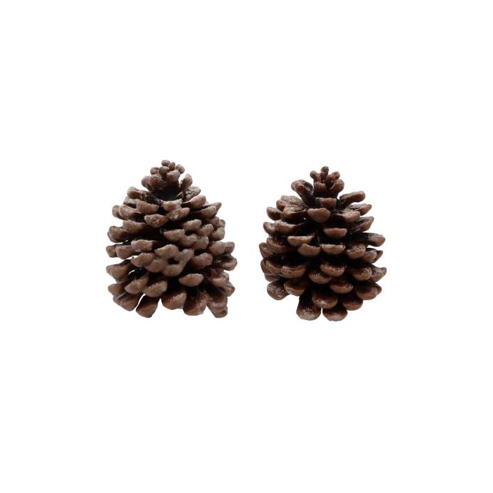 <h4>Pinecone Pinea Scented Orange Cinnamon 2 Pcs Slv L19W12H14</h4>