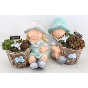 arr4 Semp JS - Girl and boy L 335/2