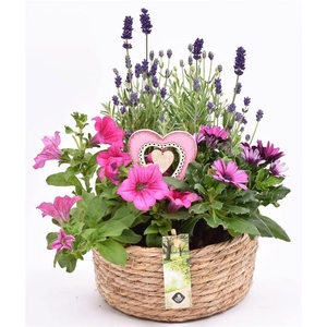 Touwmand laag 19,5cm