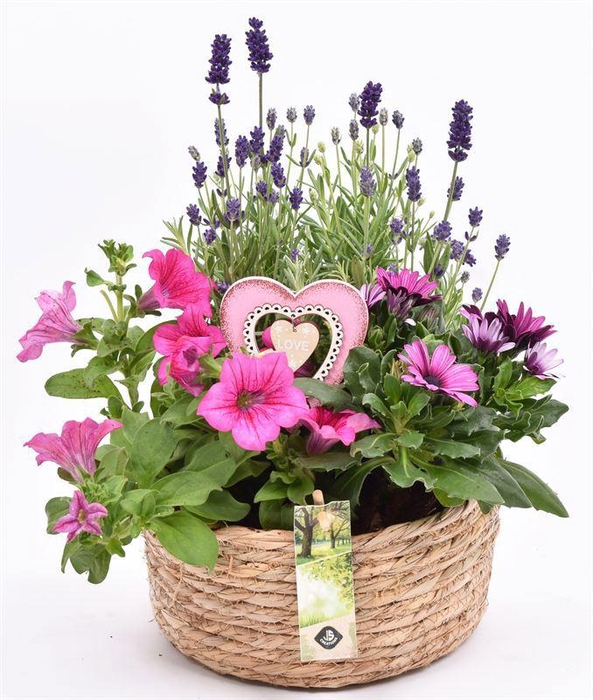 <h4>Touwmand laag 19,5cm</h4>