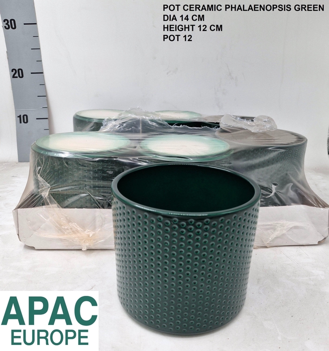 <h4>Keramiek Pot Phal Green H12 D14</h4>