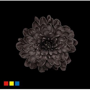 Chr T Altaj Black