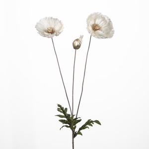 AF Poppy spray x3 L76cm cr/go
