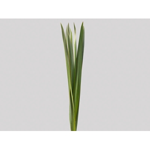 FOLHAGEM FIBRA 150 CM VERDE