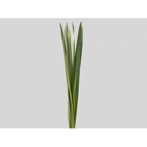 FOLHAGEM FIBRA 150 CM VERDE