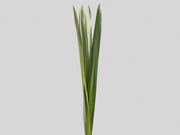 <h4>FOLHAGEM FIBRA 150 CM VERDE</h4>