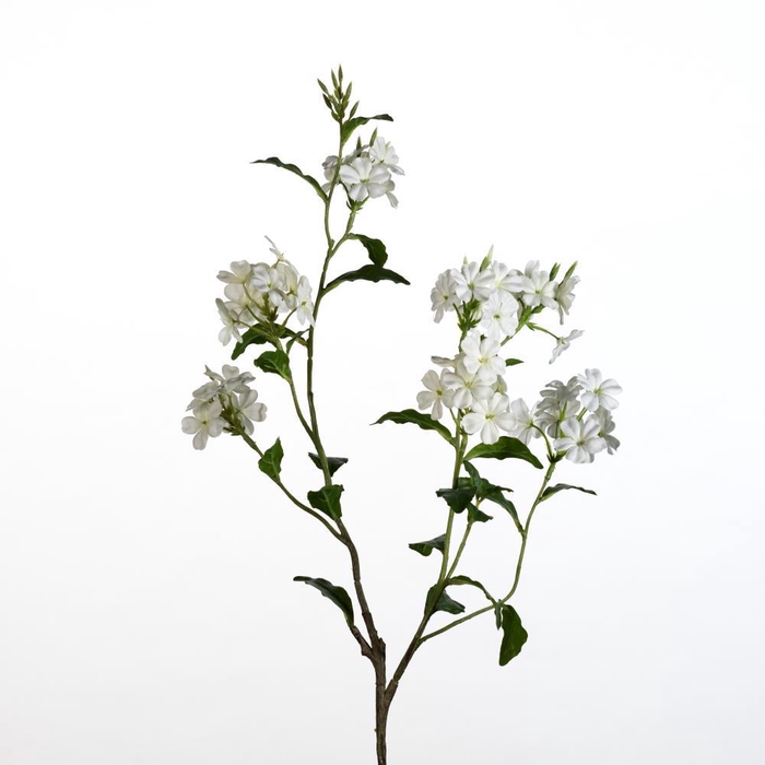 <h4>AF Plumbago spray L85cm white</h4>
