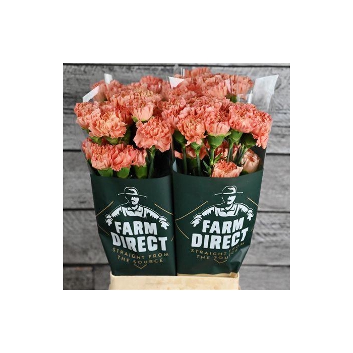 <h4>Di St Hermes Orange</h4>